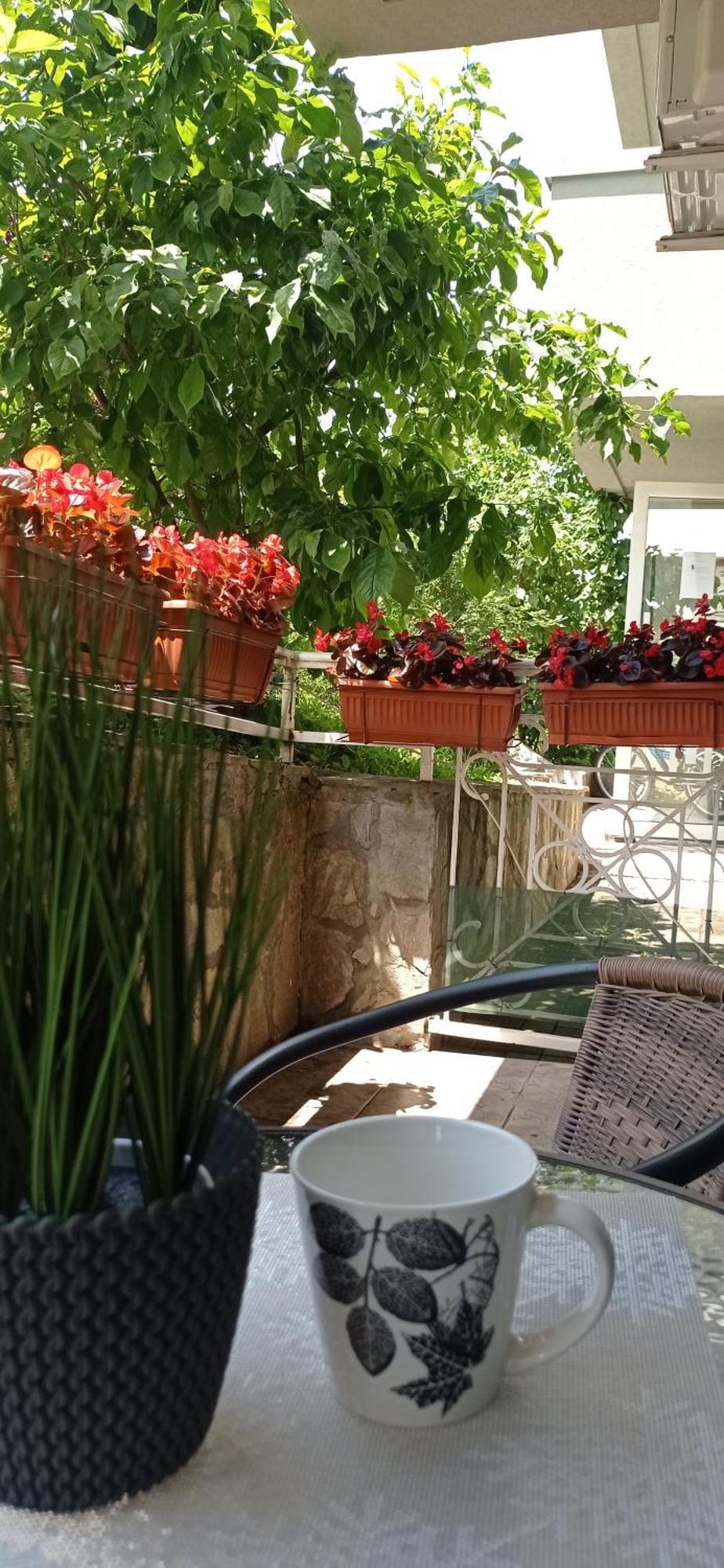 Apartman Harmonija Vrnjačka Banja Exterior foto